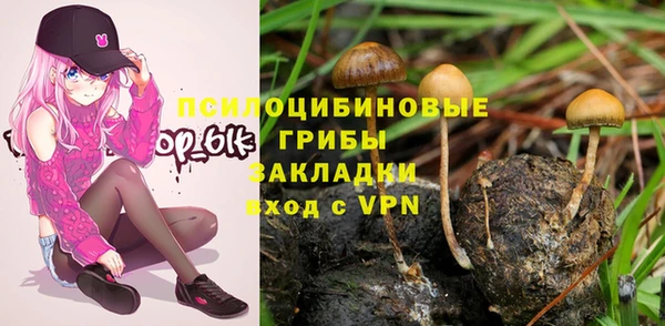 spice Балахна