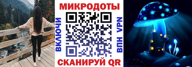 Псилоцибиновые грибы мицелий  Стародуб 